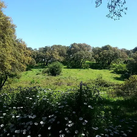 Holiday home Stazzo Salvagnolu *