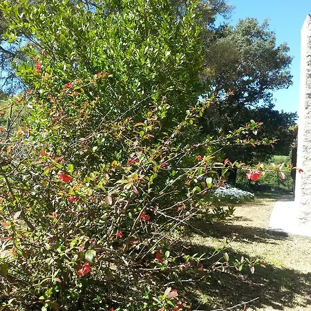 Stazzo Salvagnolu Holiday home Aggius